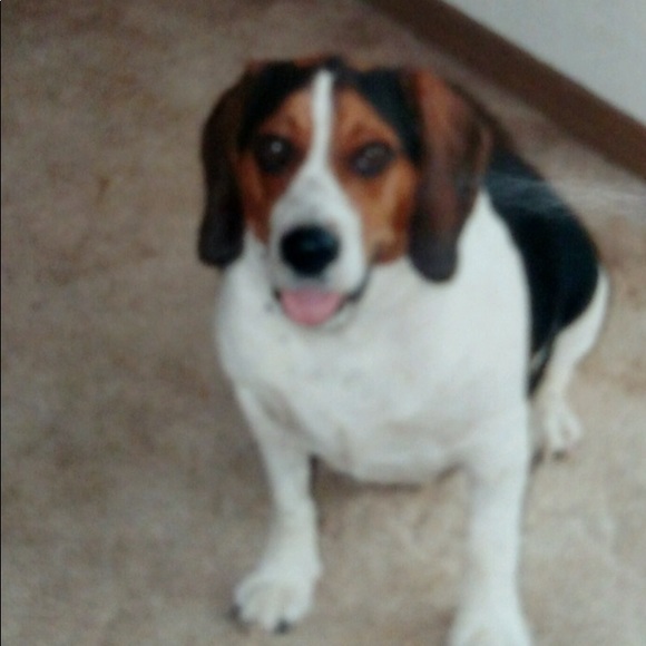 Meet your Posher, Carla - Picture 4 of 4